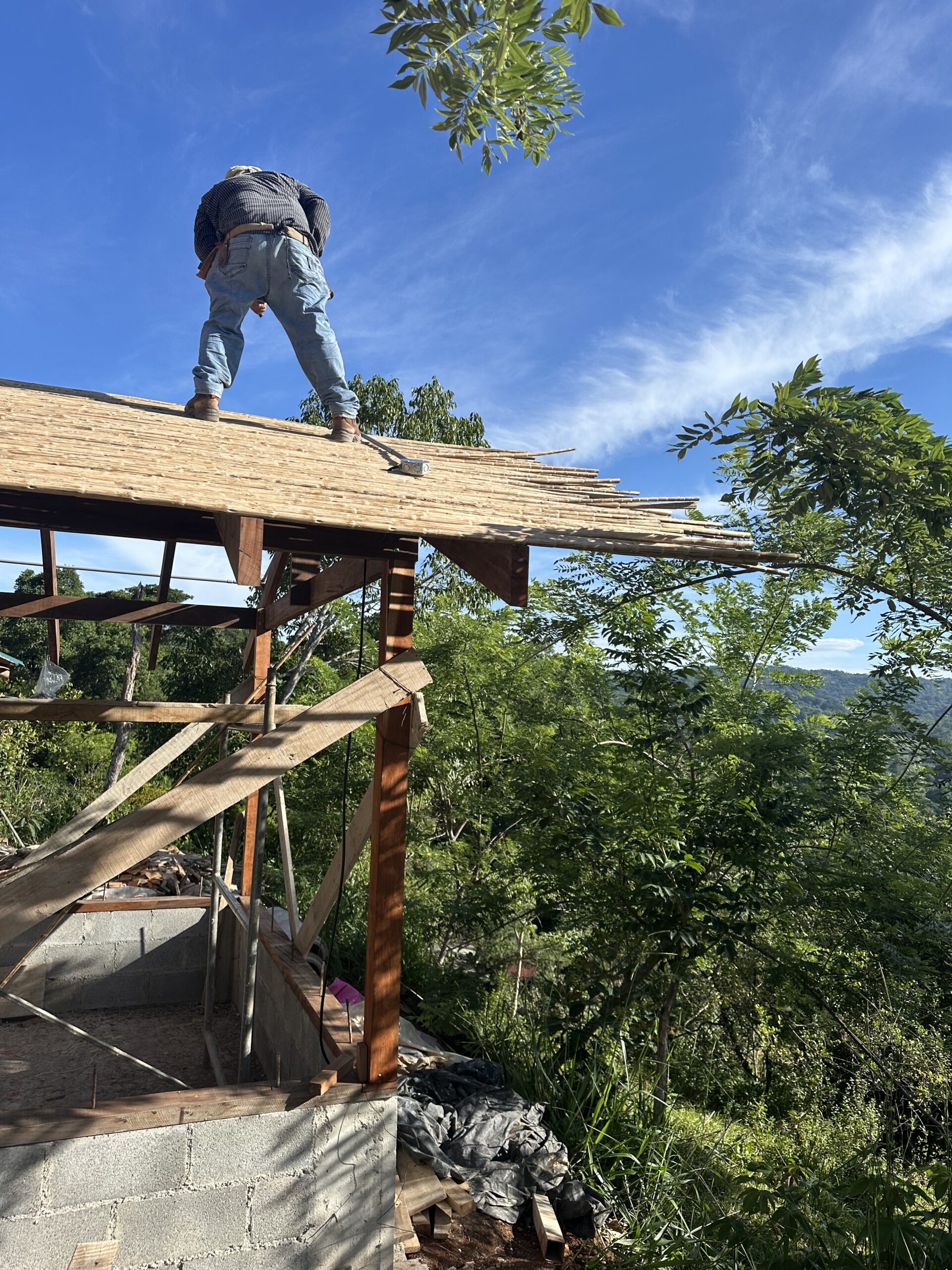 Craftsman building a timber roof beside dense forest