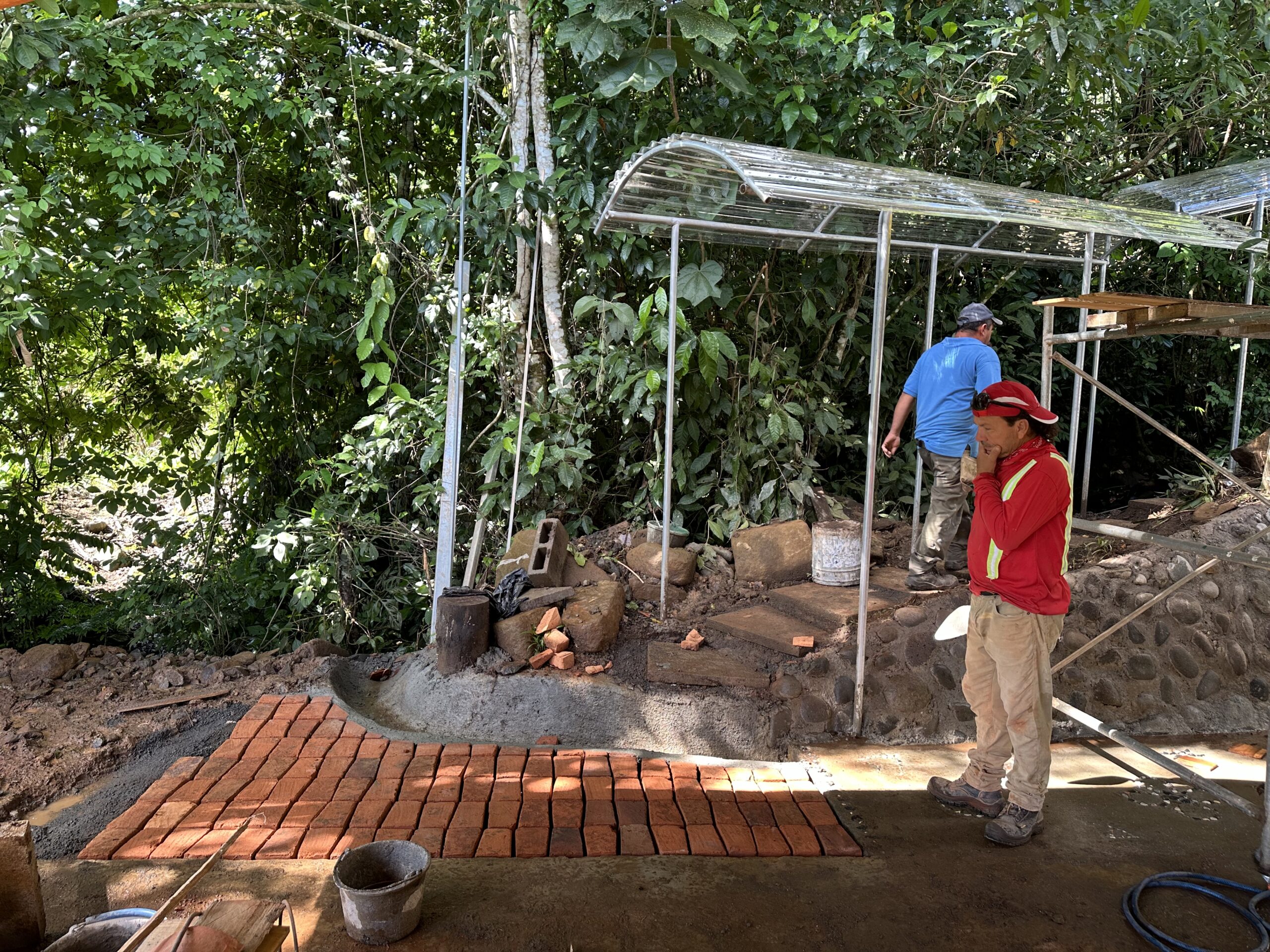 Workers constructing a brick path beside the forest