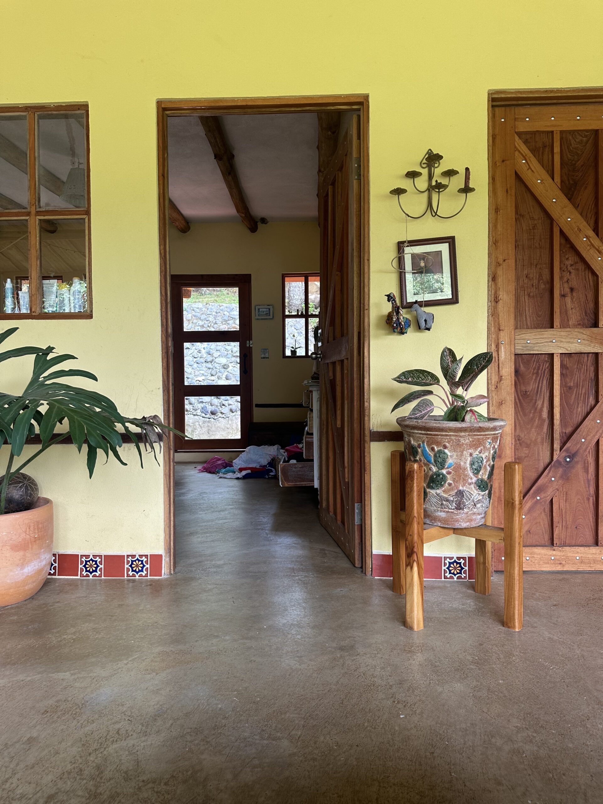 Finished timber entry with handmade tiles, plants, and polished concrete floor