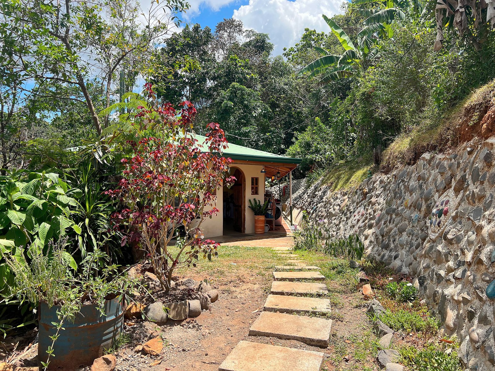 Garden path approaching the Timber House between tropical planting and a stone retaining wall